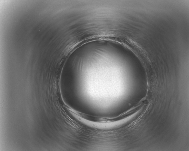 X0000058141169200510072024