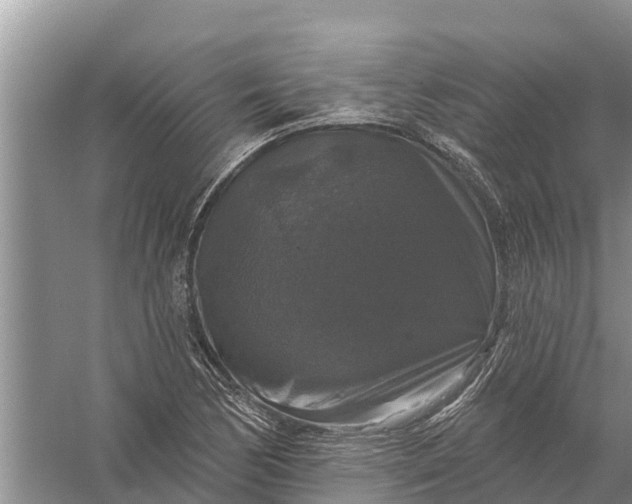 X0000058141170200510072024