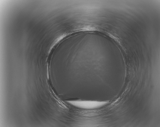 X0000058141171200510072024