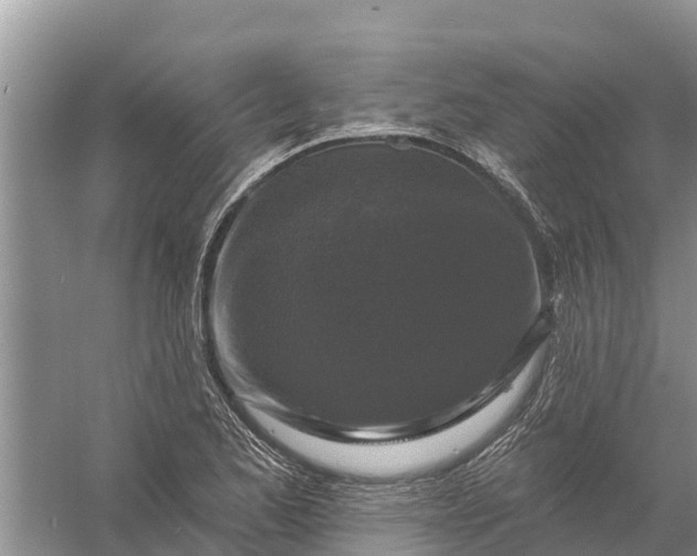 X0000058141173200510072023