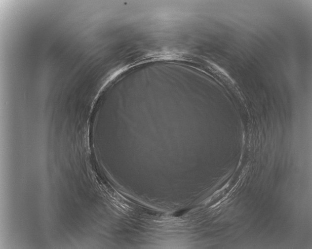 X0000058141174200510072023