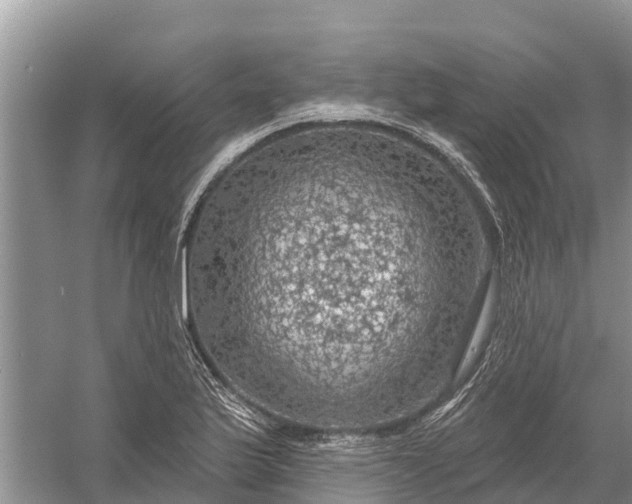 X0000058141175200510072023