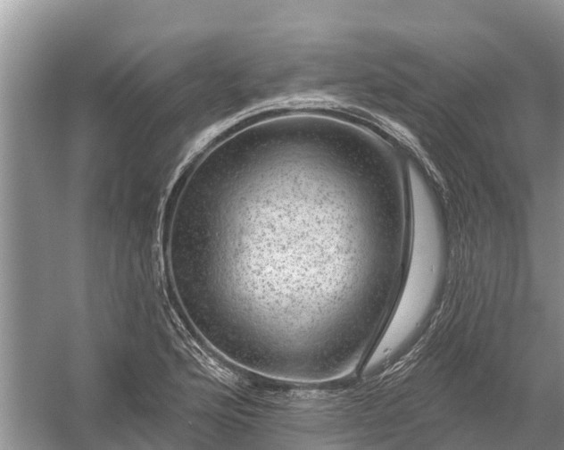 X0000058141176200510072023