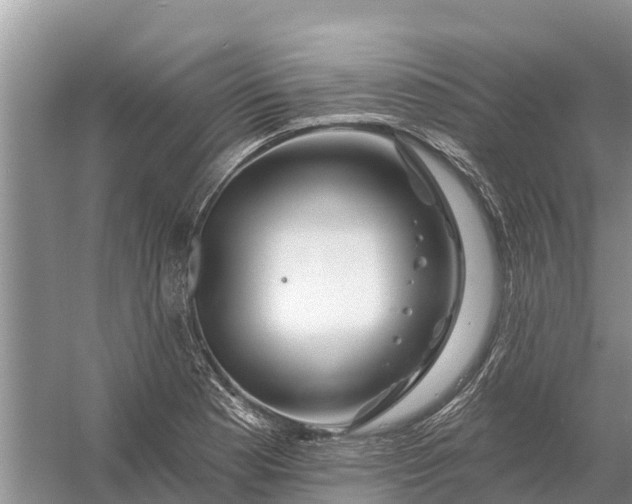 X0000058141177200510072023