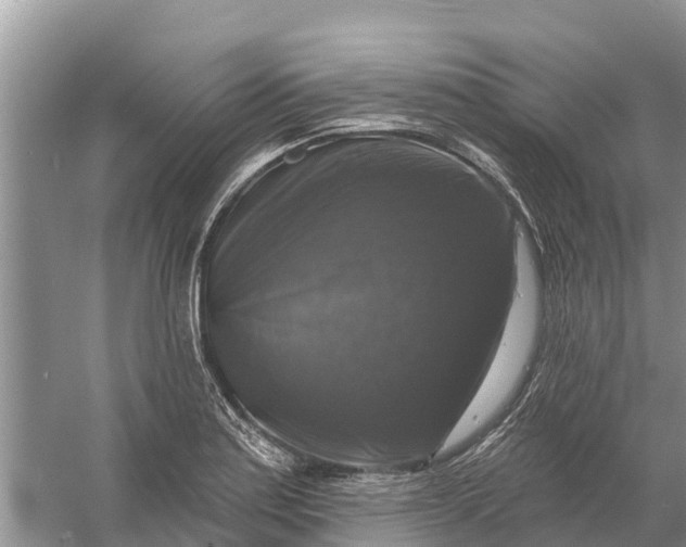 X0000058141179200510072023