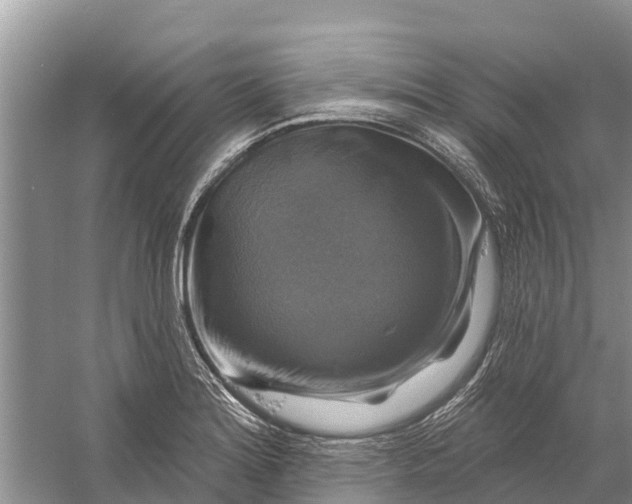 X0000058141180200510072023