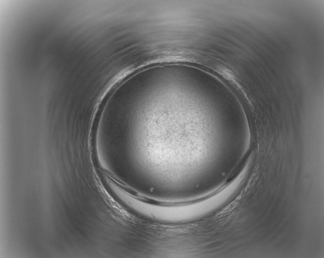 X0000058141181200510072023