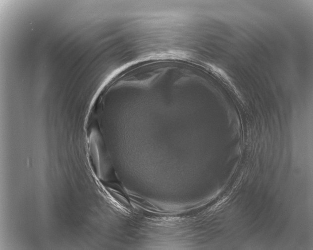 X0000058141184200510072023