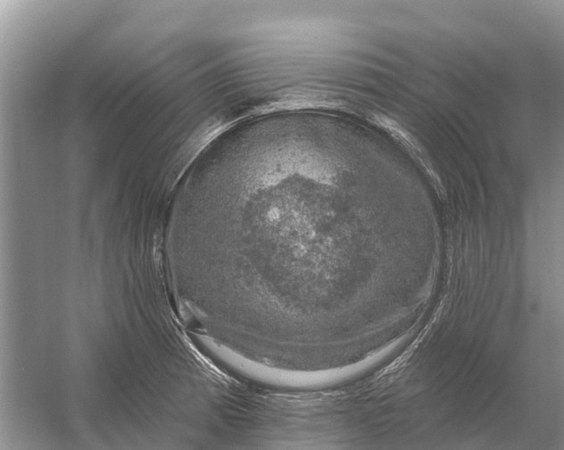 X0000058141185200510072023