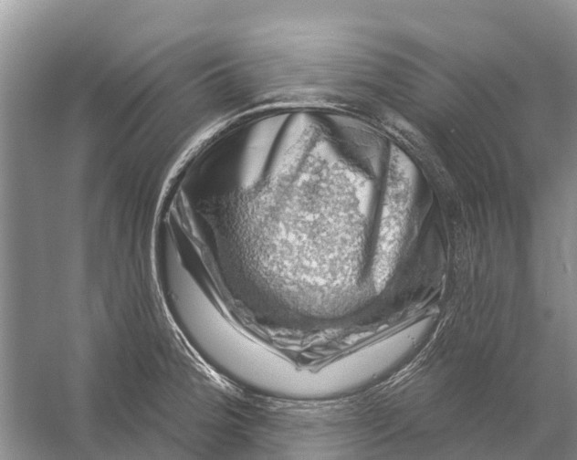 X0000058141188200510072023