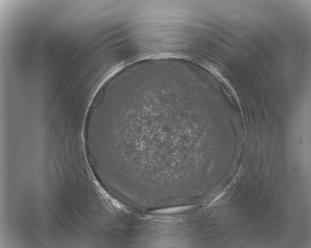 X0000058141189200510072023