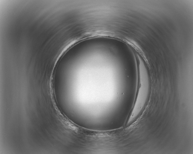 X0000058141190200510072023