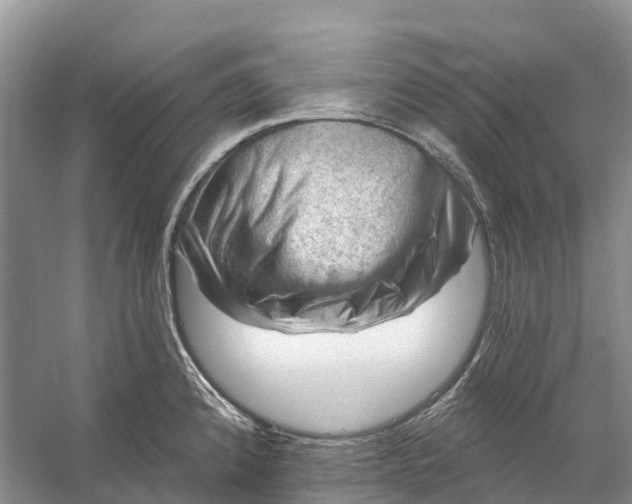 X0000058141192200510072023