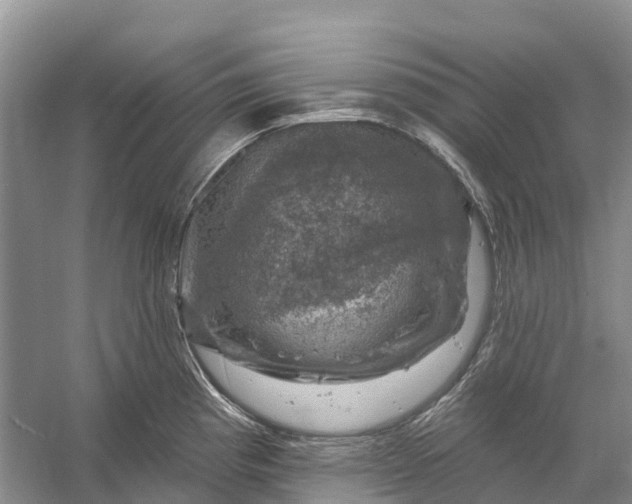 X0000058141193200510072023