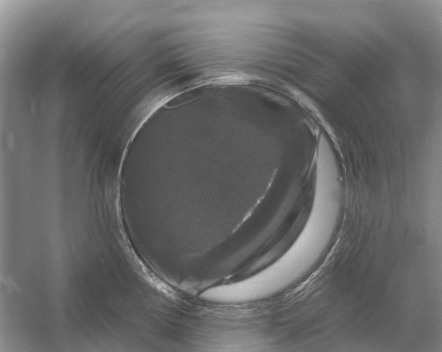 X0000058141194200510072023