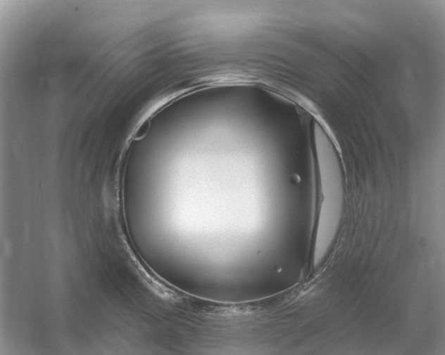 X0000058141195200510072023