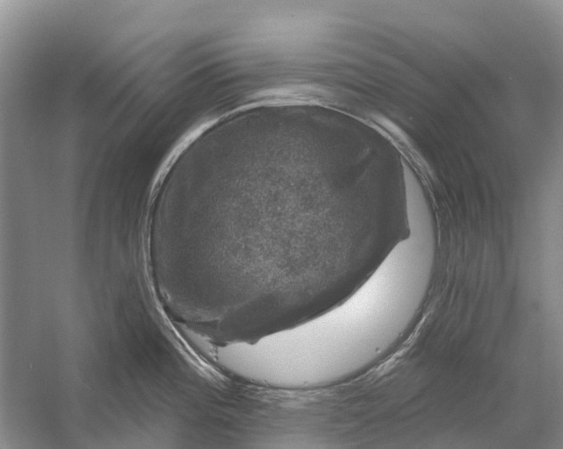 X0000058141196200510072023