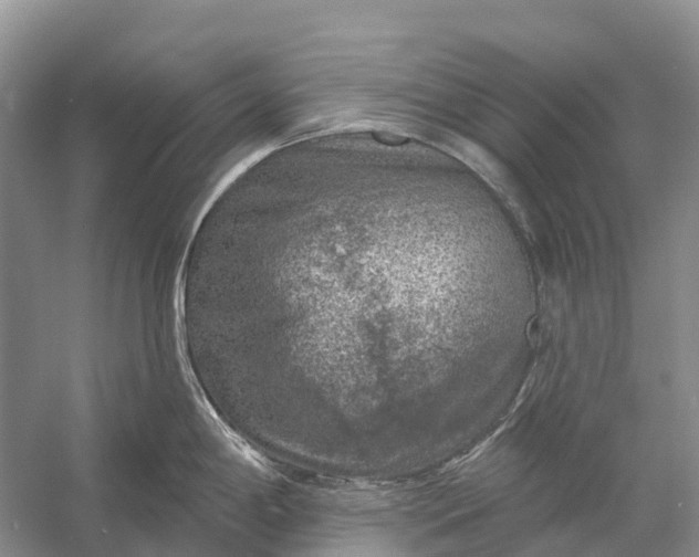 X0000058141198200510072023