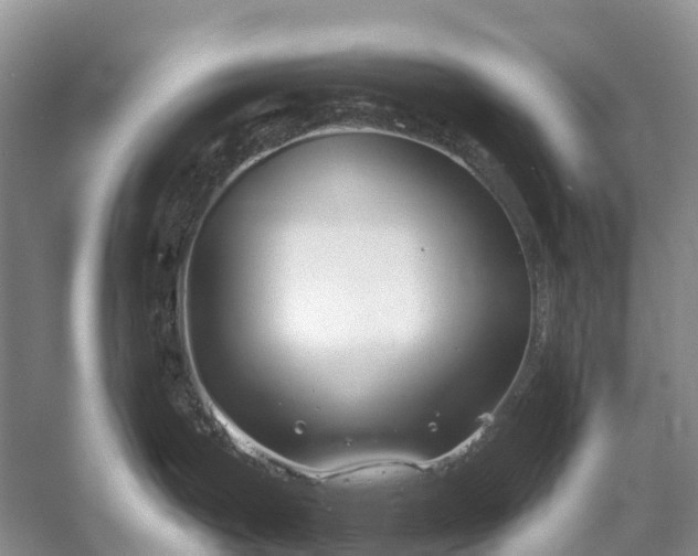 X0000058141199200510072023