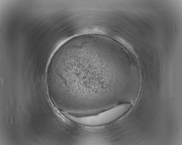 X0000058141200200510072023