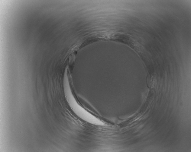 X0000058141202200510072022