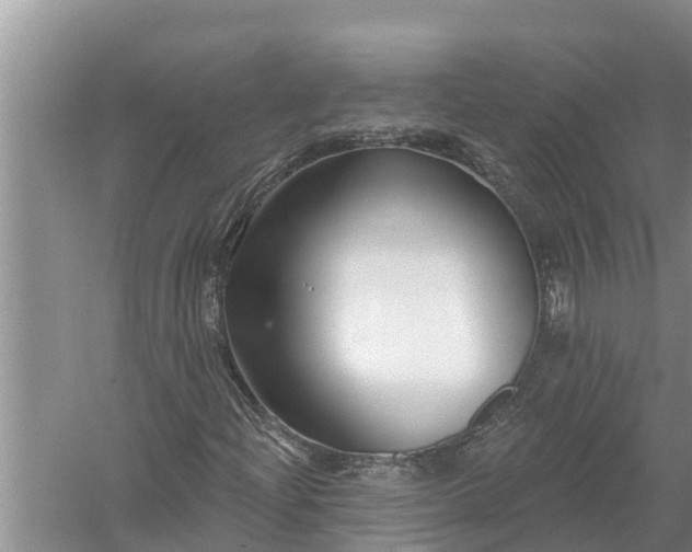 X0000058141204200510072022