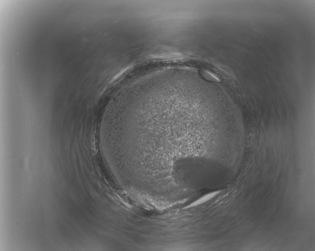 X0000058141205200510072022