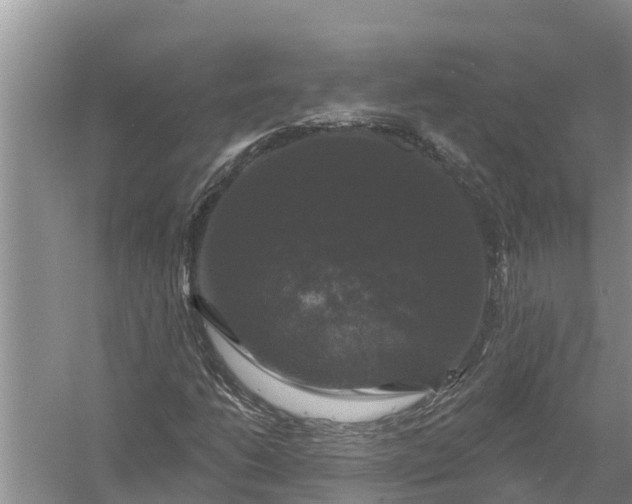 X0000058141206200510072022