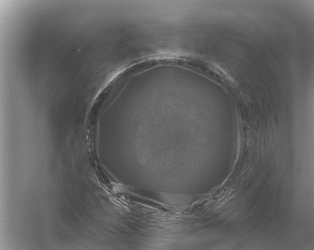 X0000058141208200510072022