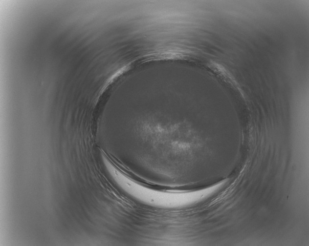 X0000058141210200510072022