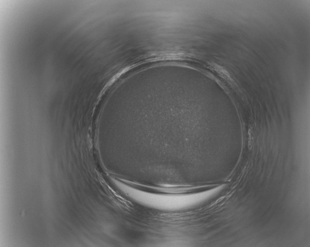 X0000058141212200510072022