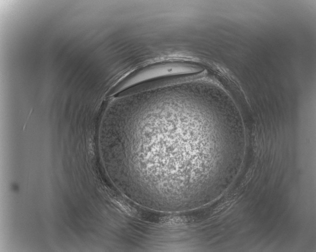 X0000058141217200510072022