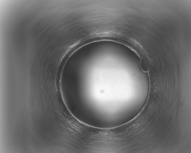 X0000058141218200510072022