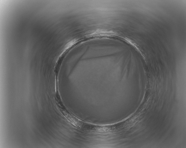 X0000058141219200510072023