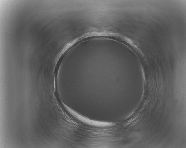 X0000058141221200510072023