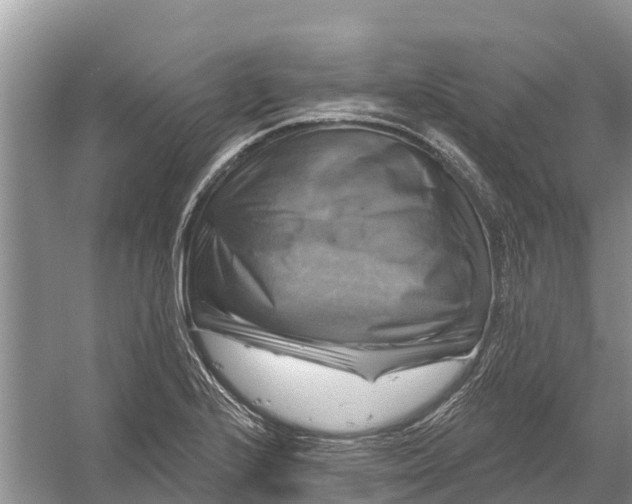 X0000058141224200510072023