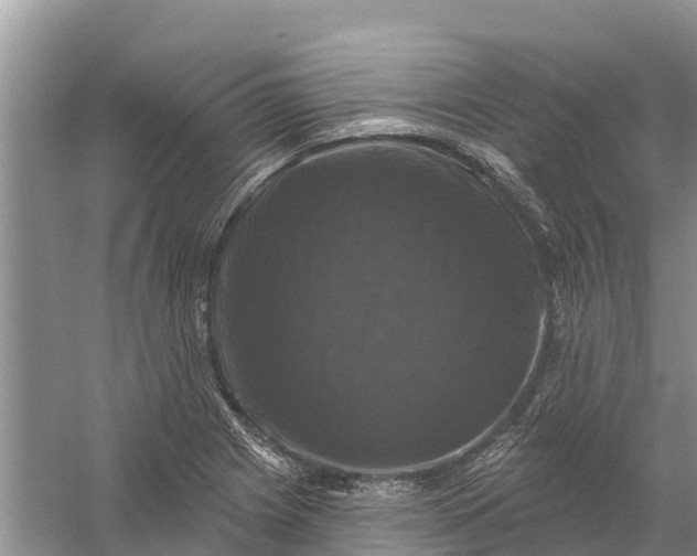 X0000058141225200510072023