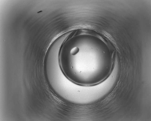 X0000058141226200510072023