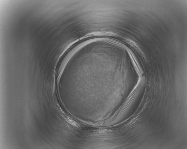 X0000058141228200510072023