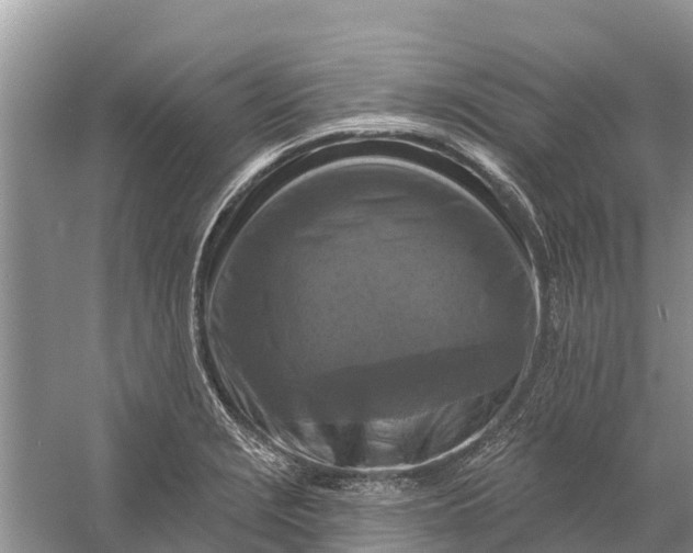 X0000058141229200510072023