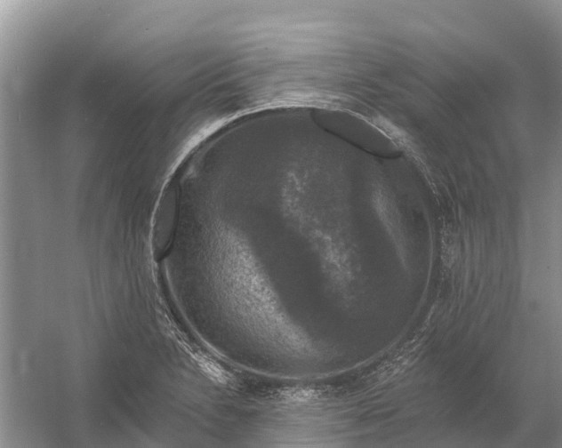 X0000058141230200510072023