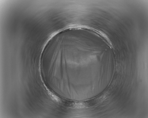 X0000058141231200510072023