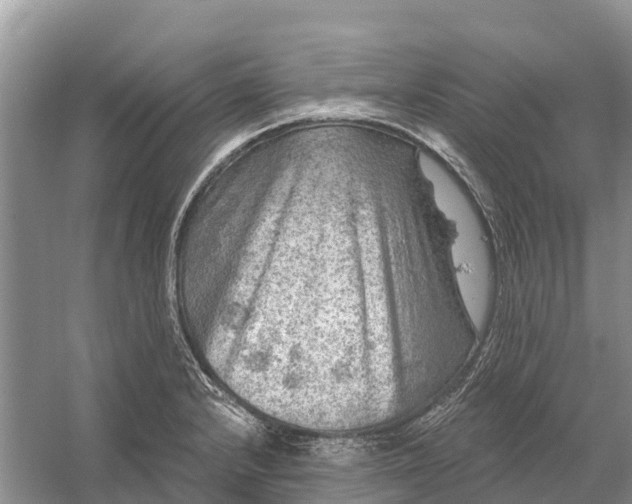 X0000058141232200510072023