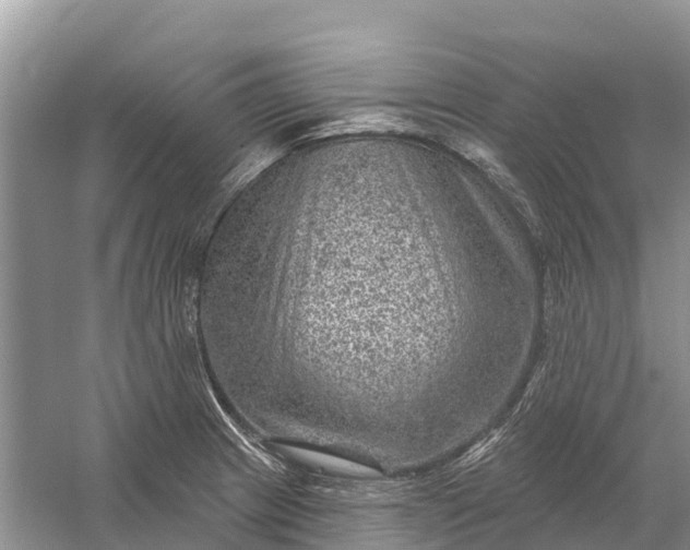 X0000058141233200510072023