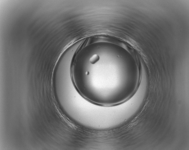 X0000058141234200510072023