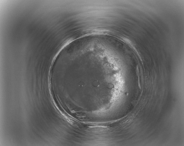 X0000058141235200510072023