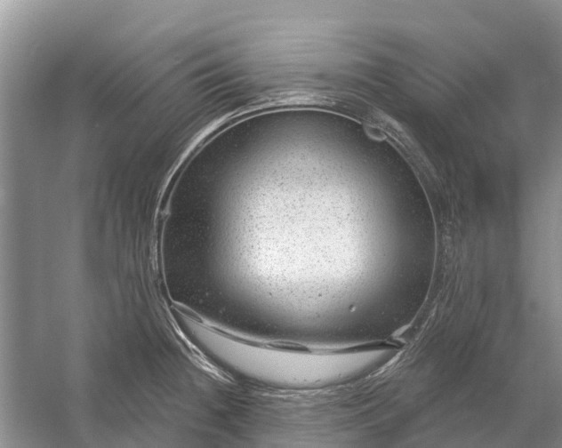 X0000058141236200510072023