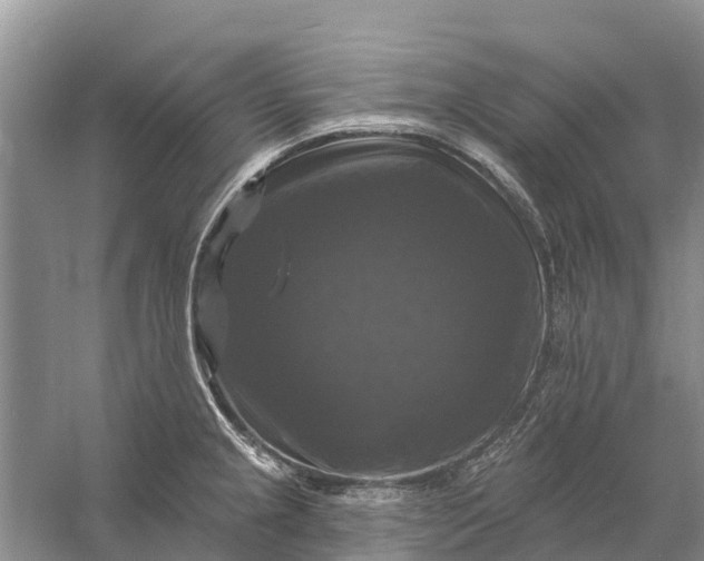 X0000058141237200510072023