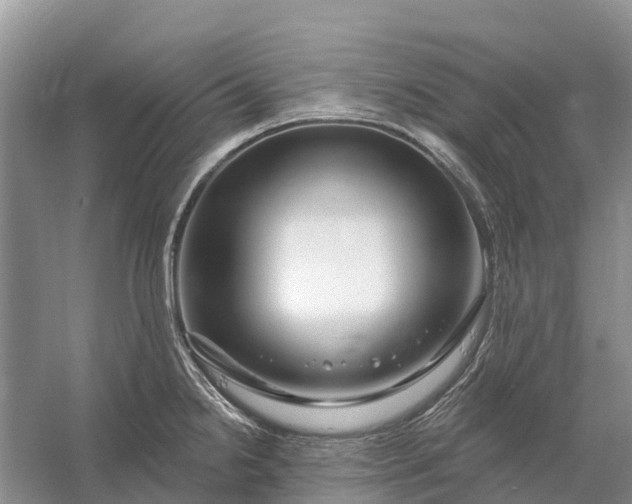 X0000058141238200510072023