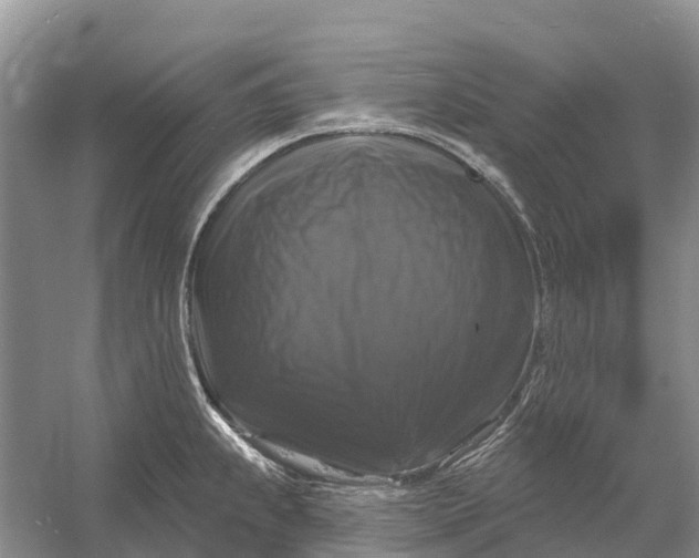 X0000058141239200510072023